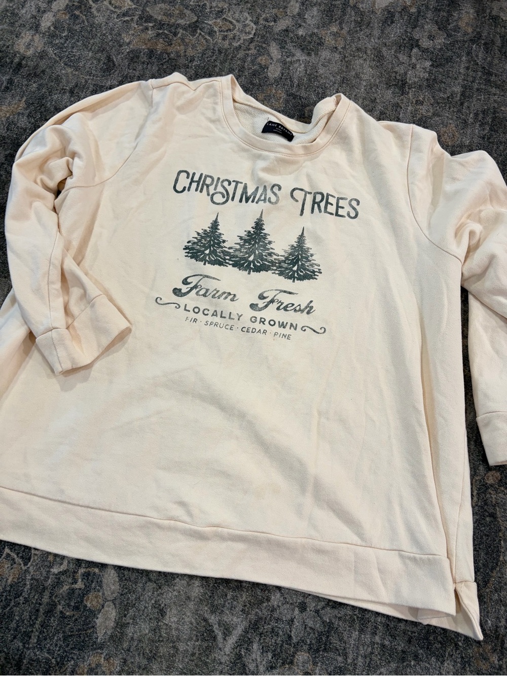 Lane Bryant Cream Graphic 'Christmas Trees' Sweatshirt